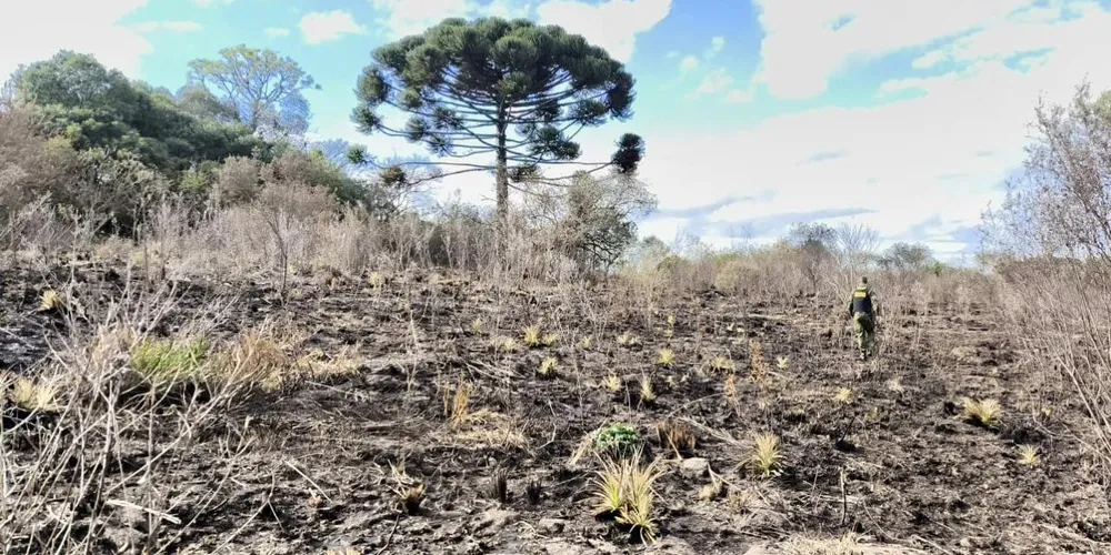Área tomada pelo fogo