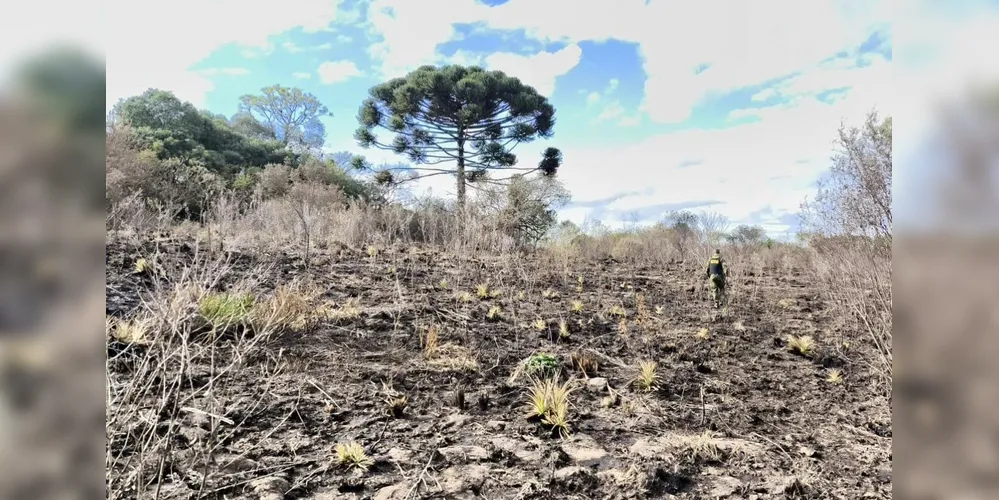 Área tomada pelo fogo