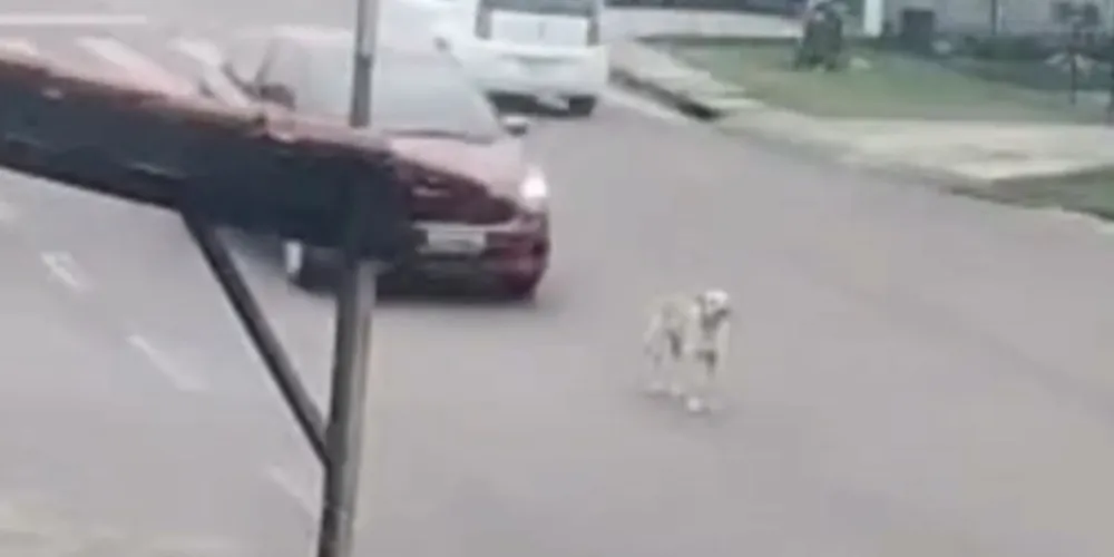 O atropelamento aconteceu às 7h56, na Paulina Leuzinski