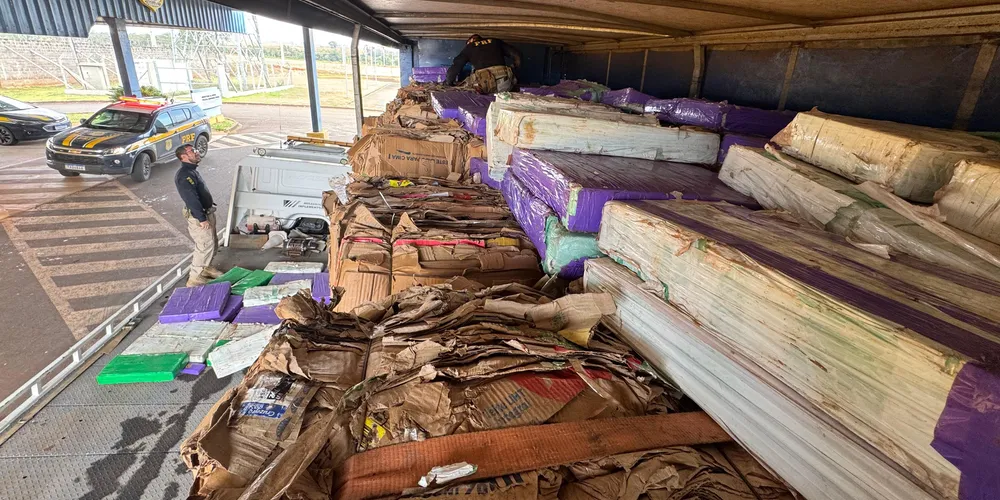 Imagem ilustrativa da imagem PRF apreende quase 3 toneladas de maconha em carga de papelão no PR