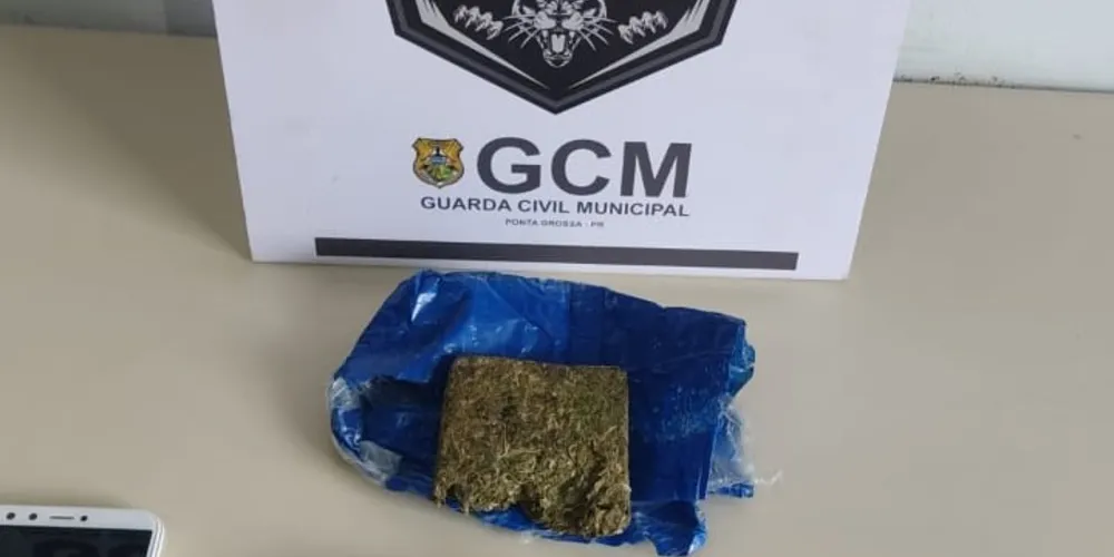 As drogas foram apreendidas