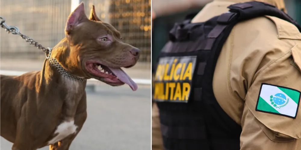 Equipes da Polícia Militar (PM) foram acionadas