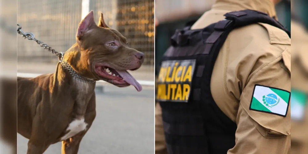Equipes da Polícia Militar (PM) foram acionadas