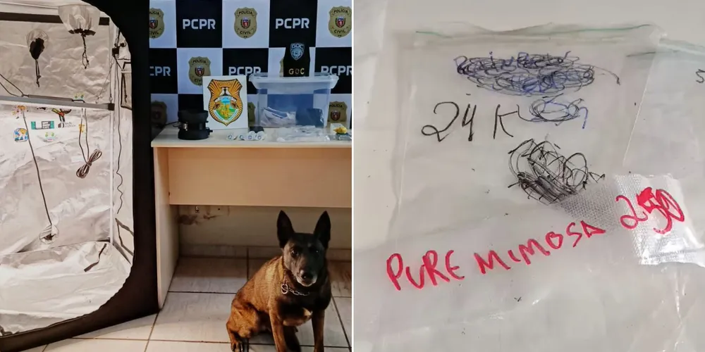 Material foi apreendido pela polícia