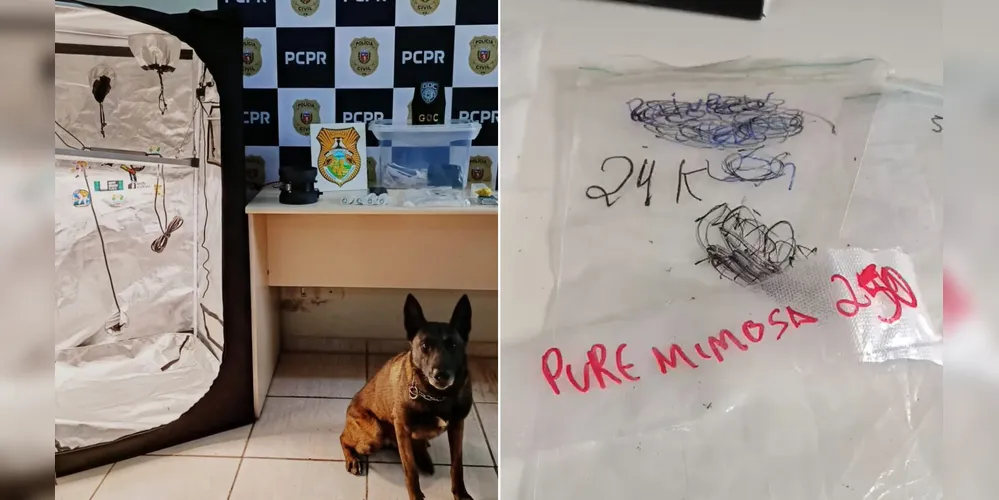 Material foi apreendido pela polícia