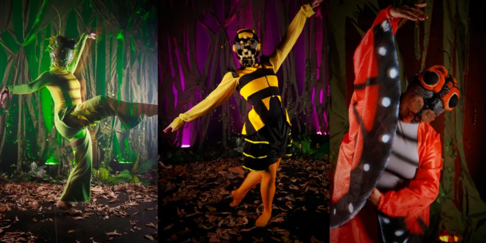 Apresentação acontecerá no Auditório da UEPG