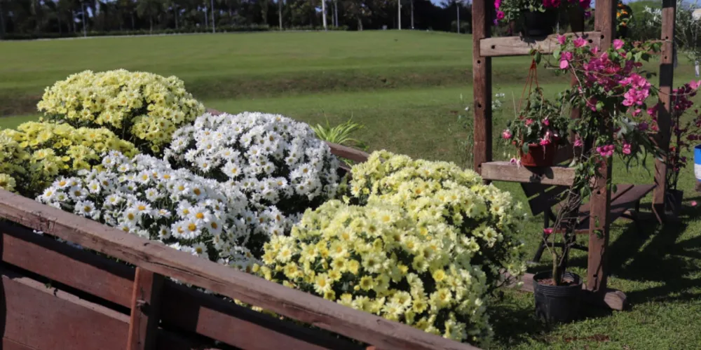 3ª Edição da Festa da Primavera acontecerá nos dias 27 e 28 de setembro, das 10h às 20h, no Parque Newton Puppi