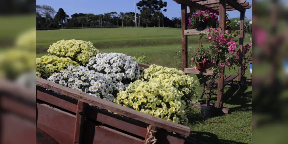 3ª Edição da Festa da Primavera acontecerá nos dias 27 e 28 de setembro, das 10h às 20h, no Parque Newton Puppi