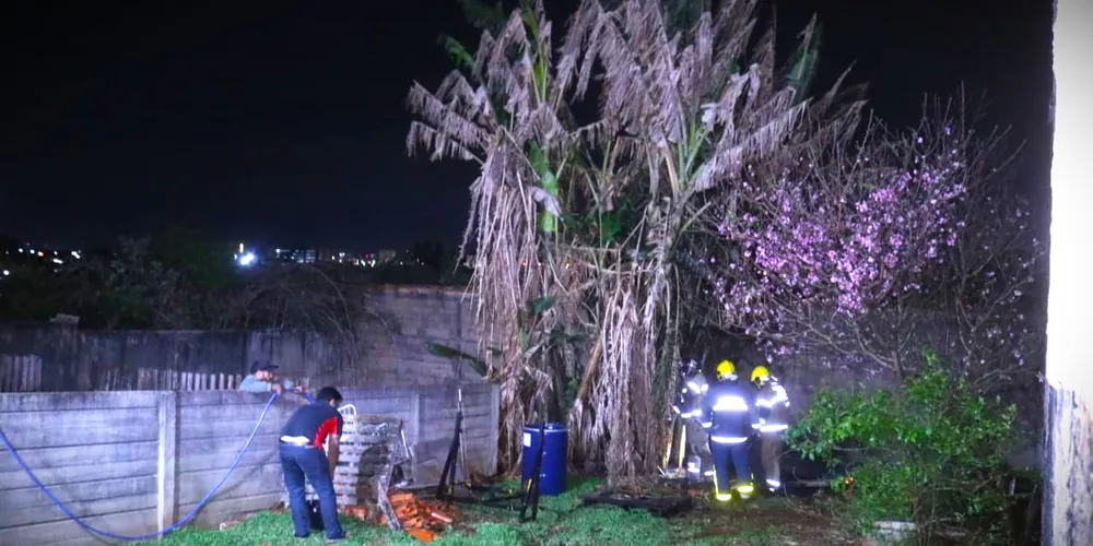Bananeira foi atingida pelas chamas