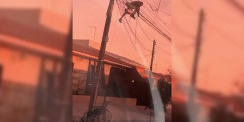 O autor da gravação relatou que a cena parecia inacreditável e, por isso, decidiu registrar o momento