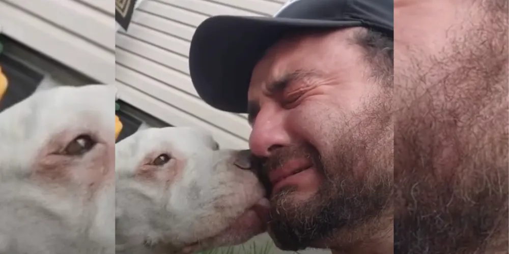 Momento comoveu pessoas ao redor e, posteriormente, a internet