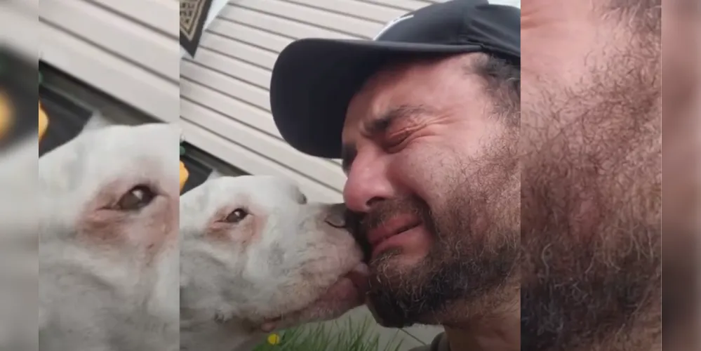 Momento comoveu pessoas ao redor e, posteriormente, a internet