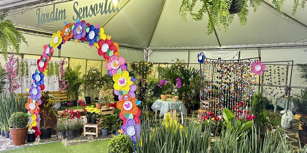 O projeto é de inclusão e está conectado e em sintonia com as áreas de enfoque do Rotary Internacional