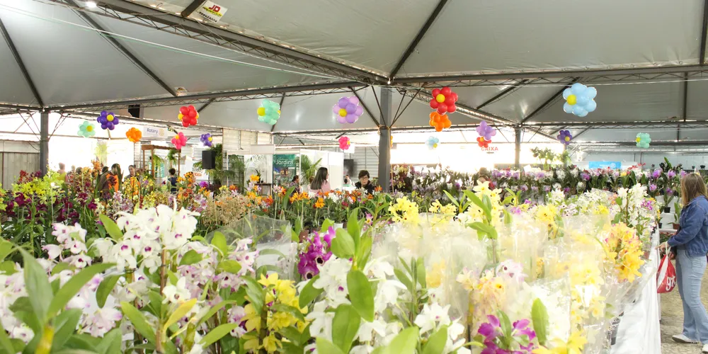 Os visitantes tiveram contato e puderam adquirir as inúmeras variedades de plantas e flores que vieram diretamente de Holambra