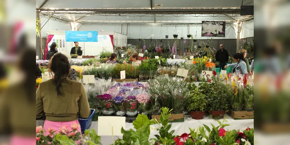 A feira é tradicional na cidade e está no calendário oficial de eventos do município, além de muitas flores e plantas, haverá a feira de artesanato