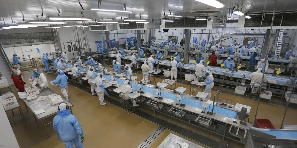 Agência do Trabalhador oferta 272 vagas de emprego nesta segunda-feira