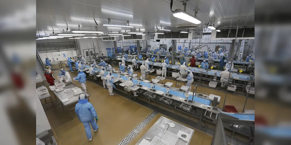 Setembro inicia com 25,1 mil vagas de emprego nas Agências do Trabalhador do Paraná