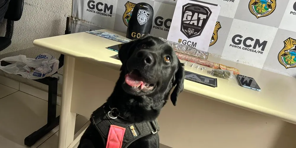 Cão Tókio auxiliou na apreensão das drogas e objetos encontrados na residência