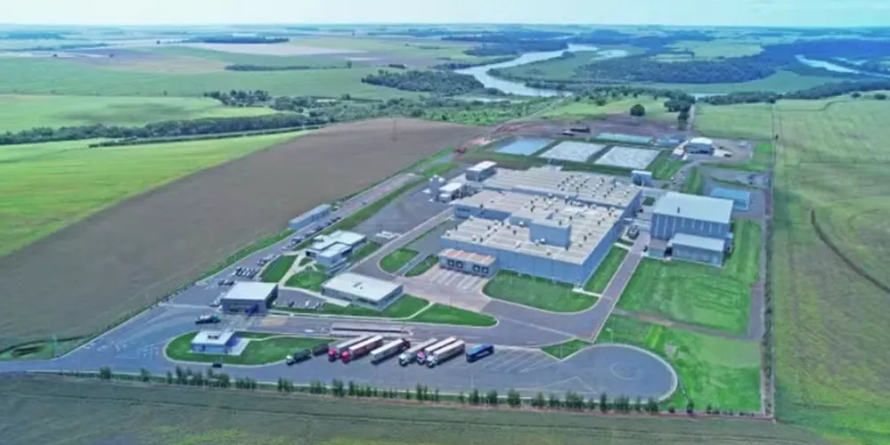 O segmento de gelatina e colágeno é considerado altamente rentável