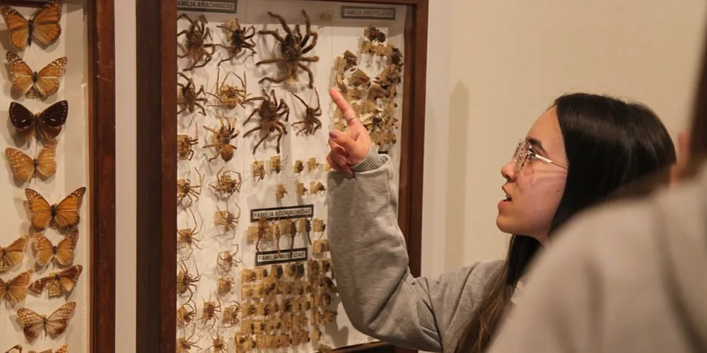 A ‘Mostra Insetário Felipe Justus’, reúne espécies de insetos catalogadas há cerca de 90 anos, algumas delas descobertas pelo pesquisador ponta-grossense