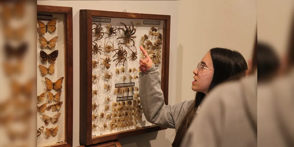 A ‘Mostra Insetário Felipe Justus’, reúne espécies de insetos catalogadas há cerca de 90 anos, algumas delas descobertas pelo pesquisador ponta-grossense