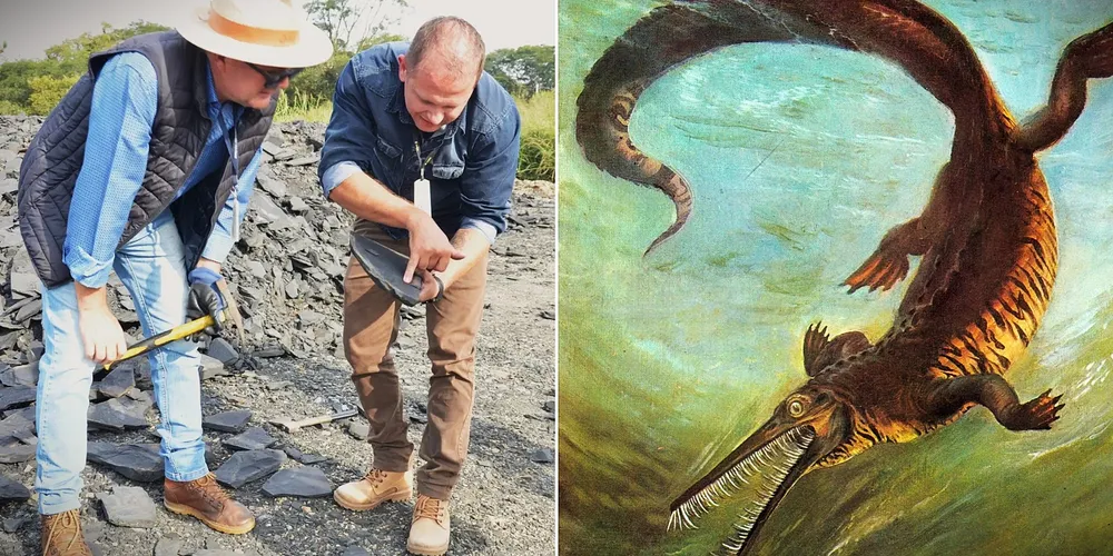 Mesosaurus tenuidens viveu há mais de 280 milhões de anos