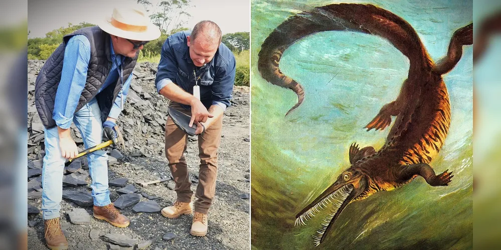 Mesosaurus tenuidens viveu há mais de 280 milhões de anos