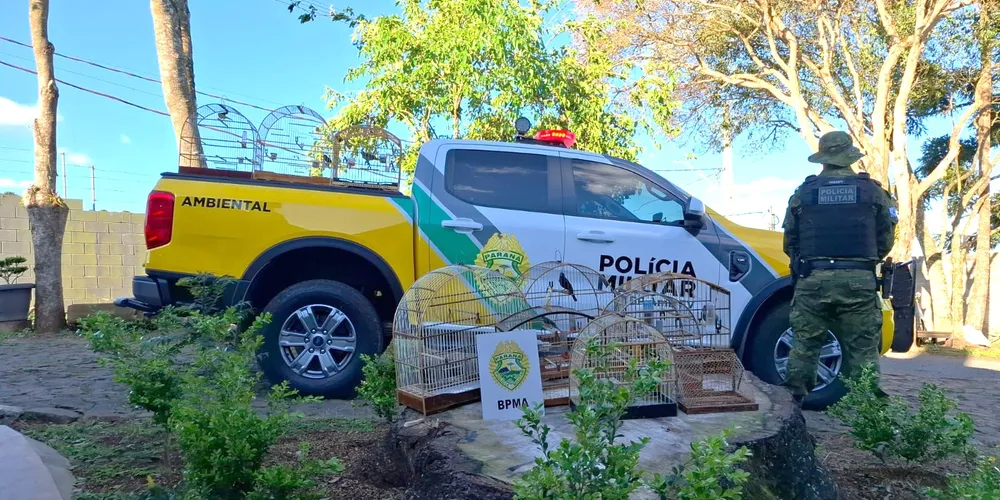 Aves foram apreendidas pela polícia
