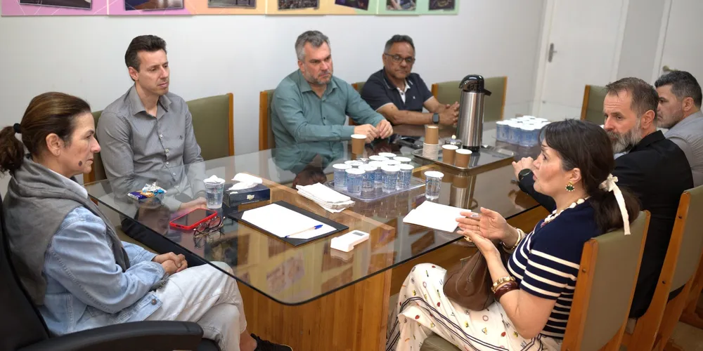 Prefeita de Telêmaco Borba durante reunião