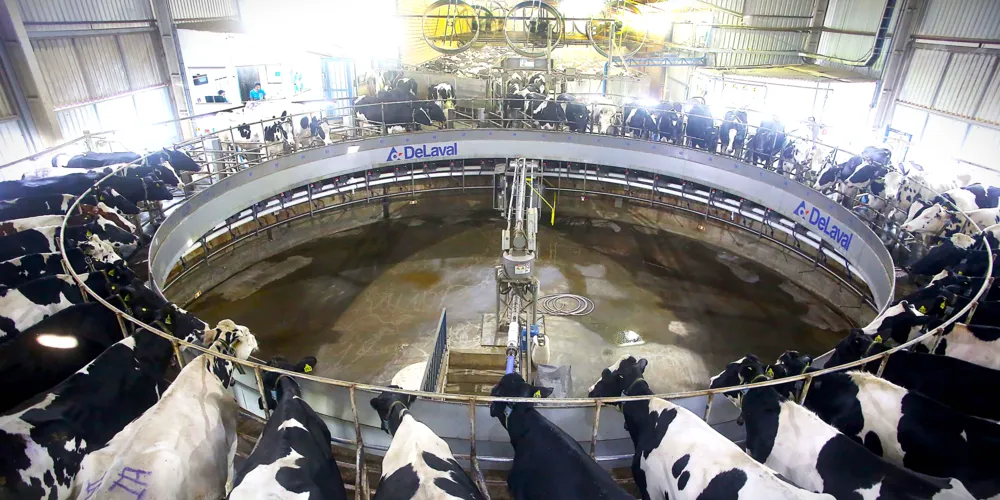 Castro está em primeiro com 484,4 milhões de litros tirados, em 2024