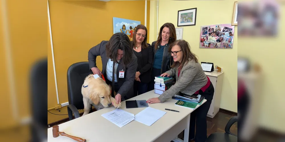 O cão Teddy realizando a "assinatura" dos documentos