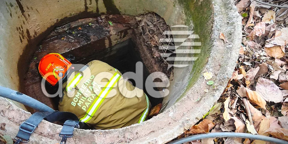 Agentes socorreram o Pastor Alemão que estava em uma galeria