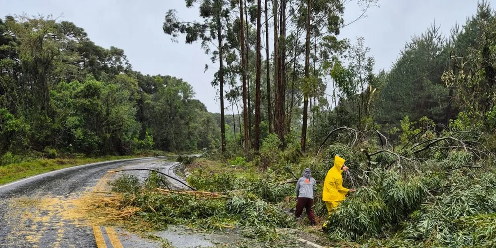 Equipes municipais estão em Tibagi e São Bento nesta segunda-feira (22)