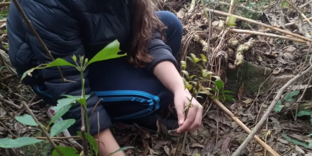 Os estudantes realizaram inúmeras atividades como o plantio de mudas, a germinação de sementes e a utilização dos conteúdos do Vamos Ler