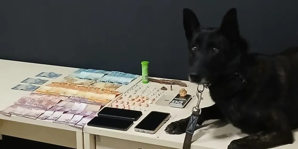 As apreensões foram encaminhadas à Delegacia de Polícia de Ortigueira
