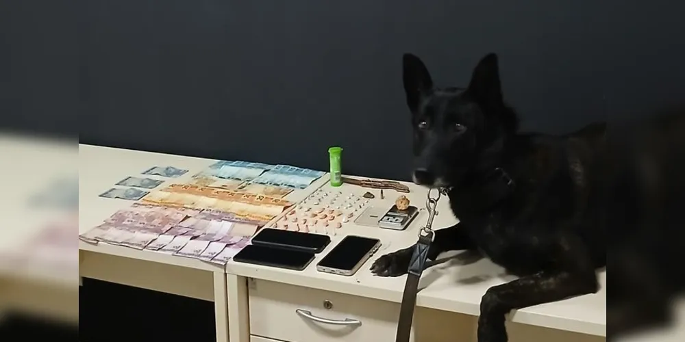 As apreensões foram encaminhadas à Delegacia de Polícia de Ortigueira
