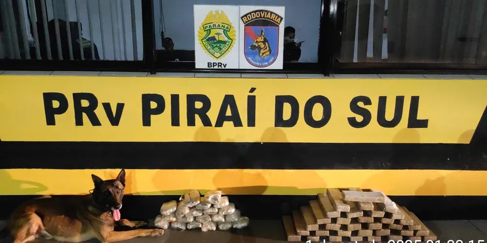 Dupla levaria as drogas para São Paulo