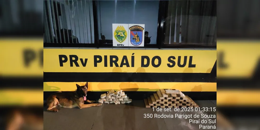 Dupla levaria as drogas para São Paulo