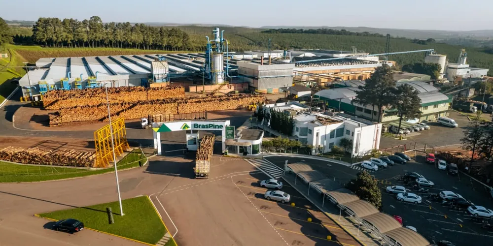 A BrasPine está entre as empresas mais afetadas pelo tarifaço nos Campos Gerais