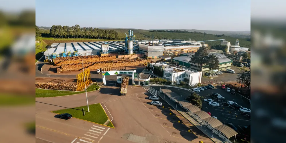 A BrasPine está entre as empresas mais afetadas pelo tarifaço nos Campos Gerais