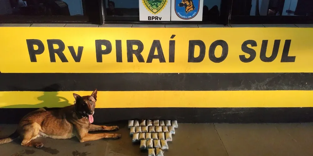 A abordagem ocorreu por volta das 23h50 em um ônibus