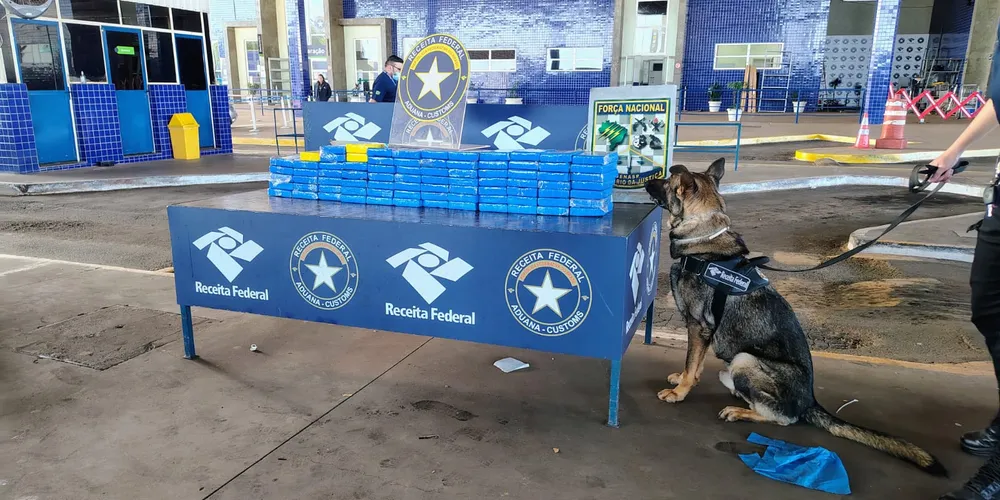 O veículo, a substância e o condutor foram encaminhados à Delegacia da Polícia Federal em Foz do Iguaçu