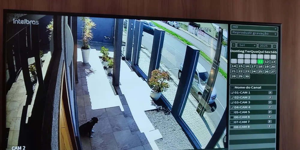 Proprietária teve acesso à câmeras de segurança próximo ao local