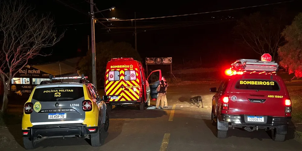 Equipes da Polícia Militar de do Siate estiveram no socorro da vítima