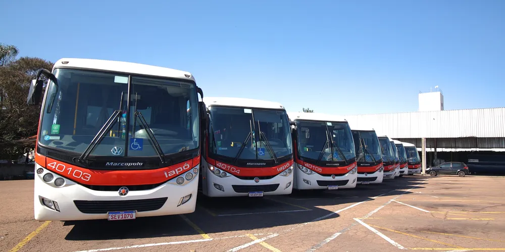 A Iapó conta com três divisões de atuação: transporte intermunicipal, transporte corporativo e turismo e fretamento