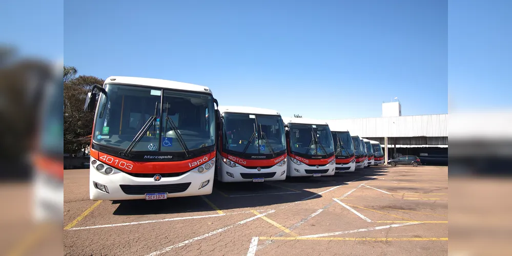 A Iapó conta com três divisões de atuação: transporte intermunicipal, transporte corporativo e turismo e fretamento