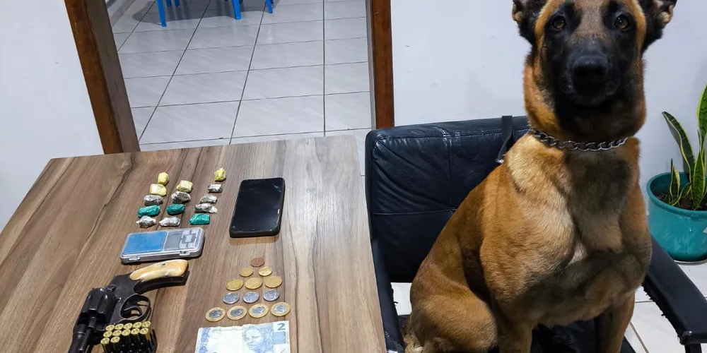 Operação foi realizada no aniversário de emancipação política de Sapopema