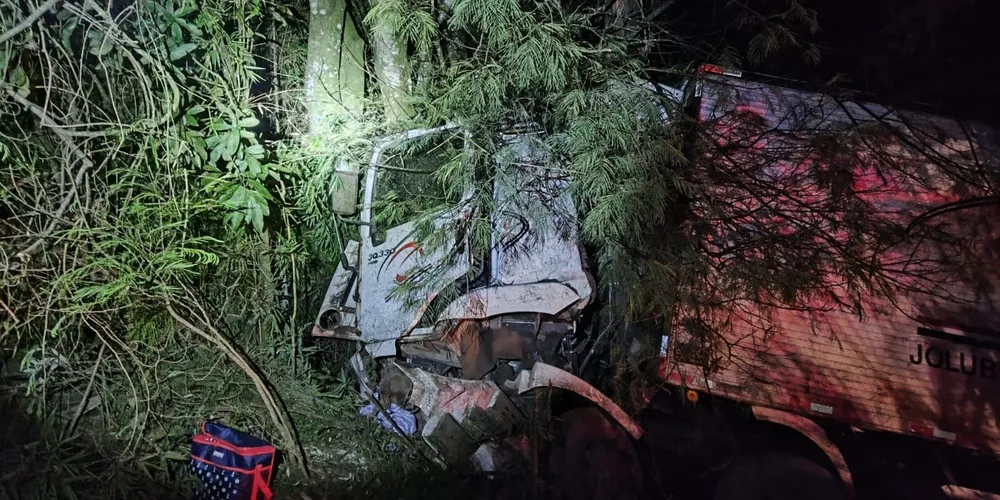 Veículo saiu da pista e colidiu contra uma árvore