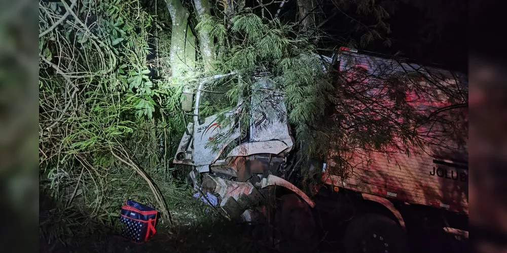 Veículo saiu da pista e colidiu contra uma árvore