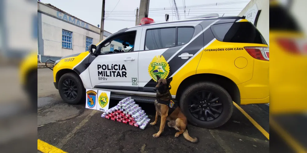 Droga foi apreendida pela PM